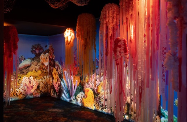 Popup Masters project – photo 3